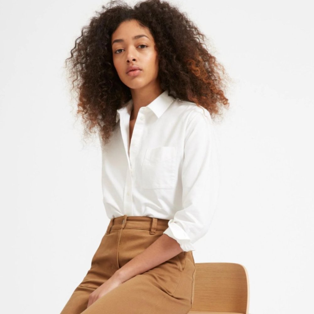 Everlane Japanese Oxford Button Up Shirt
